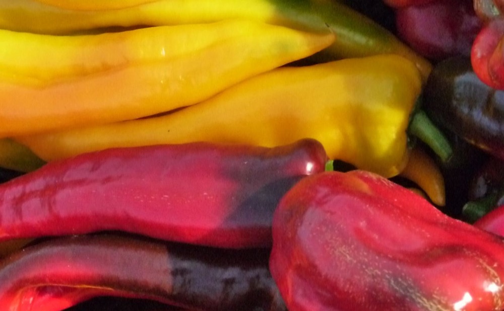I always seem to get it wrong with peppers; when I want mild, I get hot....does make life interesting...